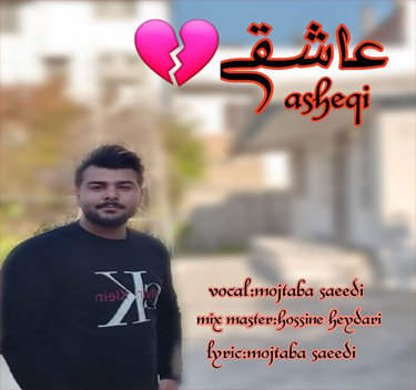 مجتبی سعیدی عاشقی